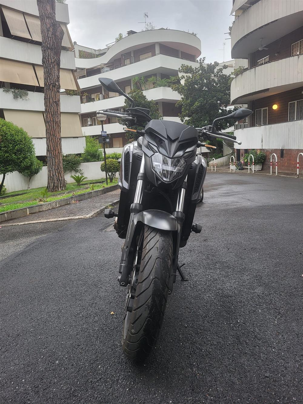 CB 650 