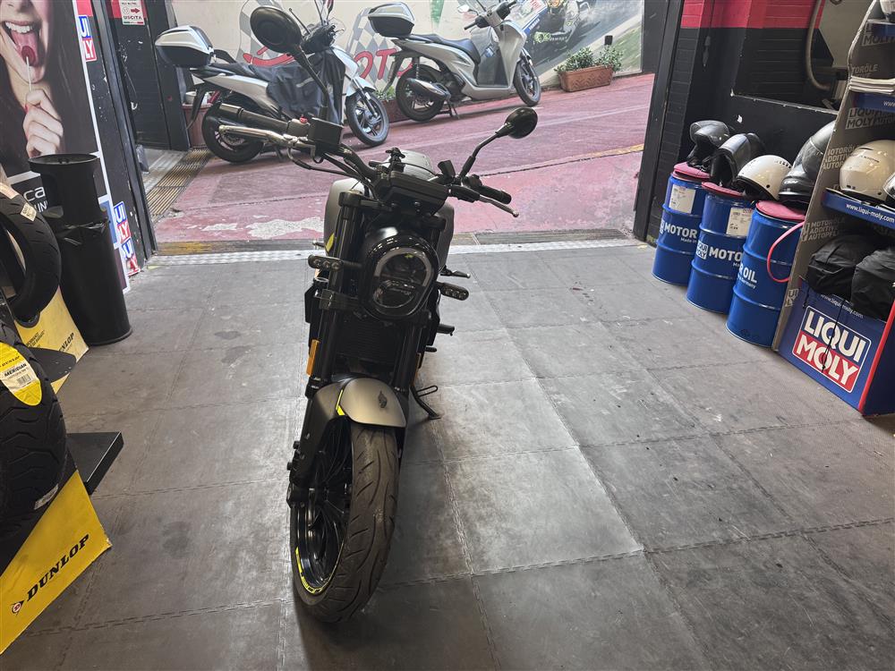 LEONCINO 250