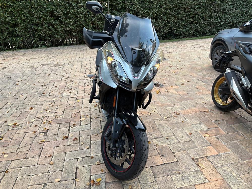 TIGER SPORT - 2016
